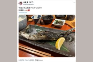 さんま 投稿